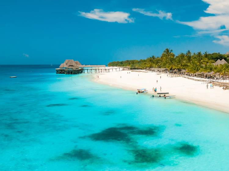 Air Tanzania запускает рейсы из Москвы в Танзанию с июля