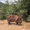 Трансфагараш в Румынии &mdash; самая опасная дорога Европы. Отзыв о самостоятельной поездке