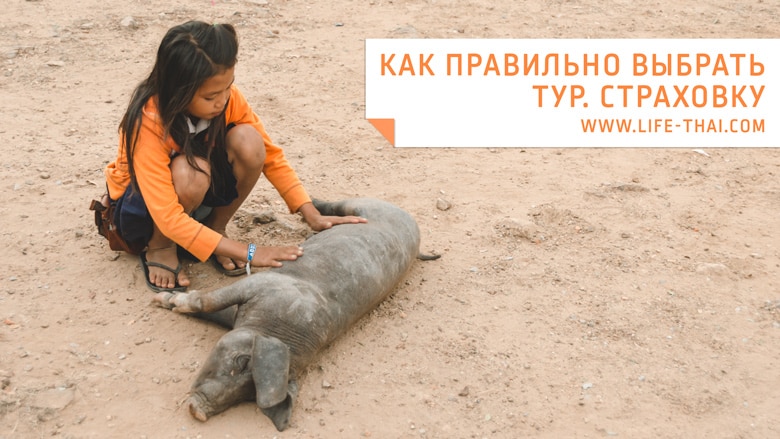 Как правильно выбрать и купить туристическую страховку заграницу Как правильно выбрать и купить туристическую страховку заграницу