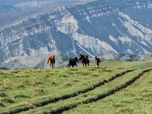 Гуниб, Дагестан. Что посмотреть в окрестностях самому