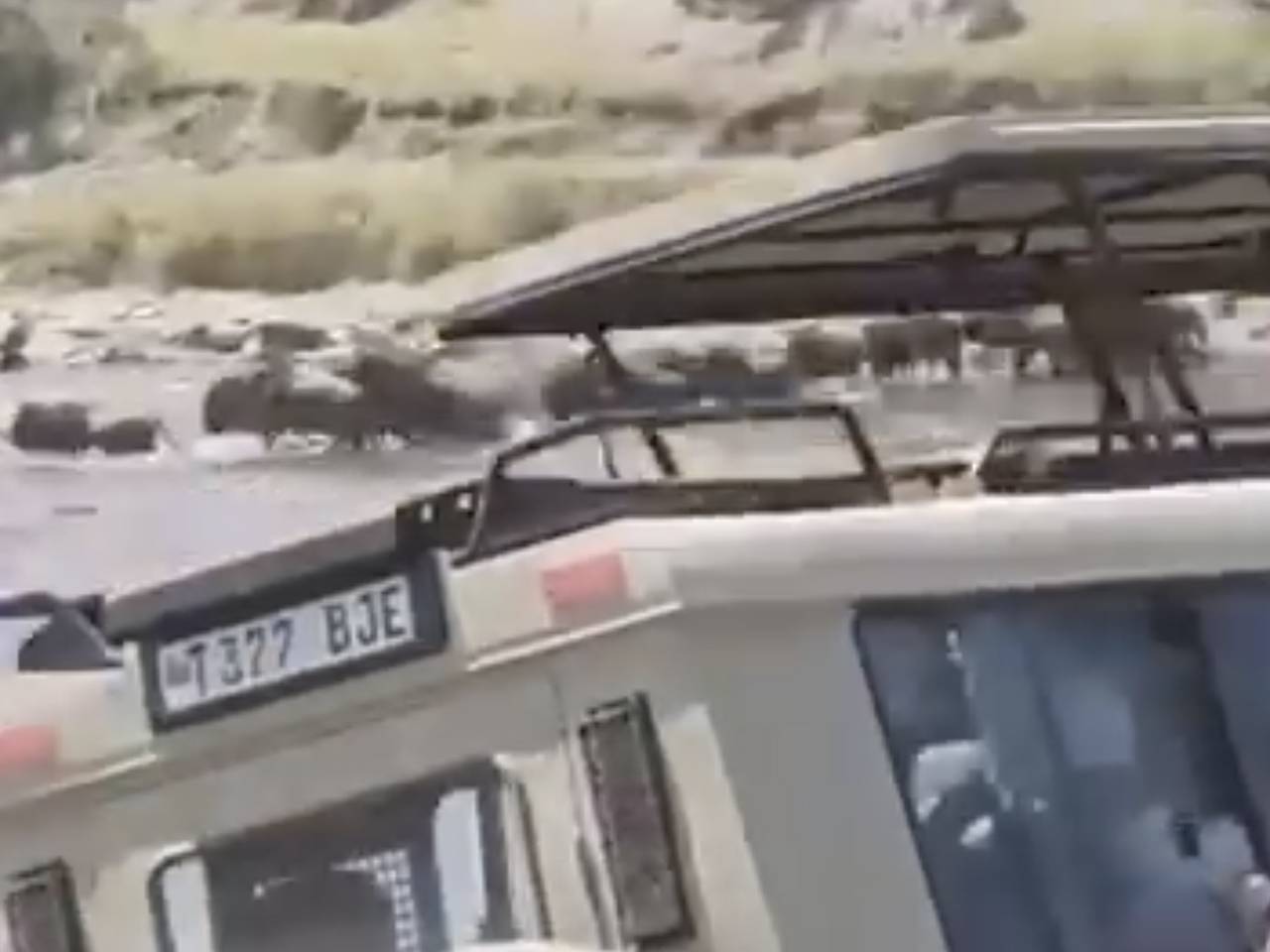Внедорожник с туристами рухнул в кишащую крокодилами реку и попал на видео