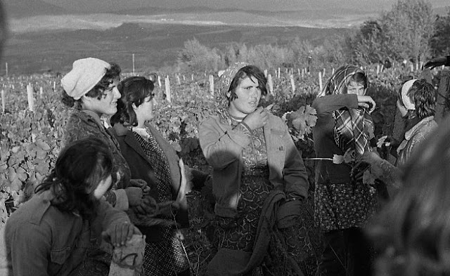 Повседневная жизнь в советской Грузии 1976 года в фотографиях шведского фотографа Повседневная жизнь в советской Грузии 1976 года в фотографиях шведского фотографа