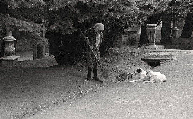 Повседневная жизнь в советской Грузии 1976 года в фотографиях шведского фотографа Повседневная жизнь в советской Грузии 1976 года в фотографиях шведского фотографа