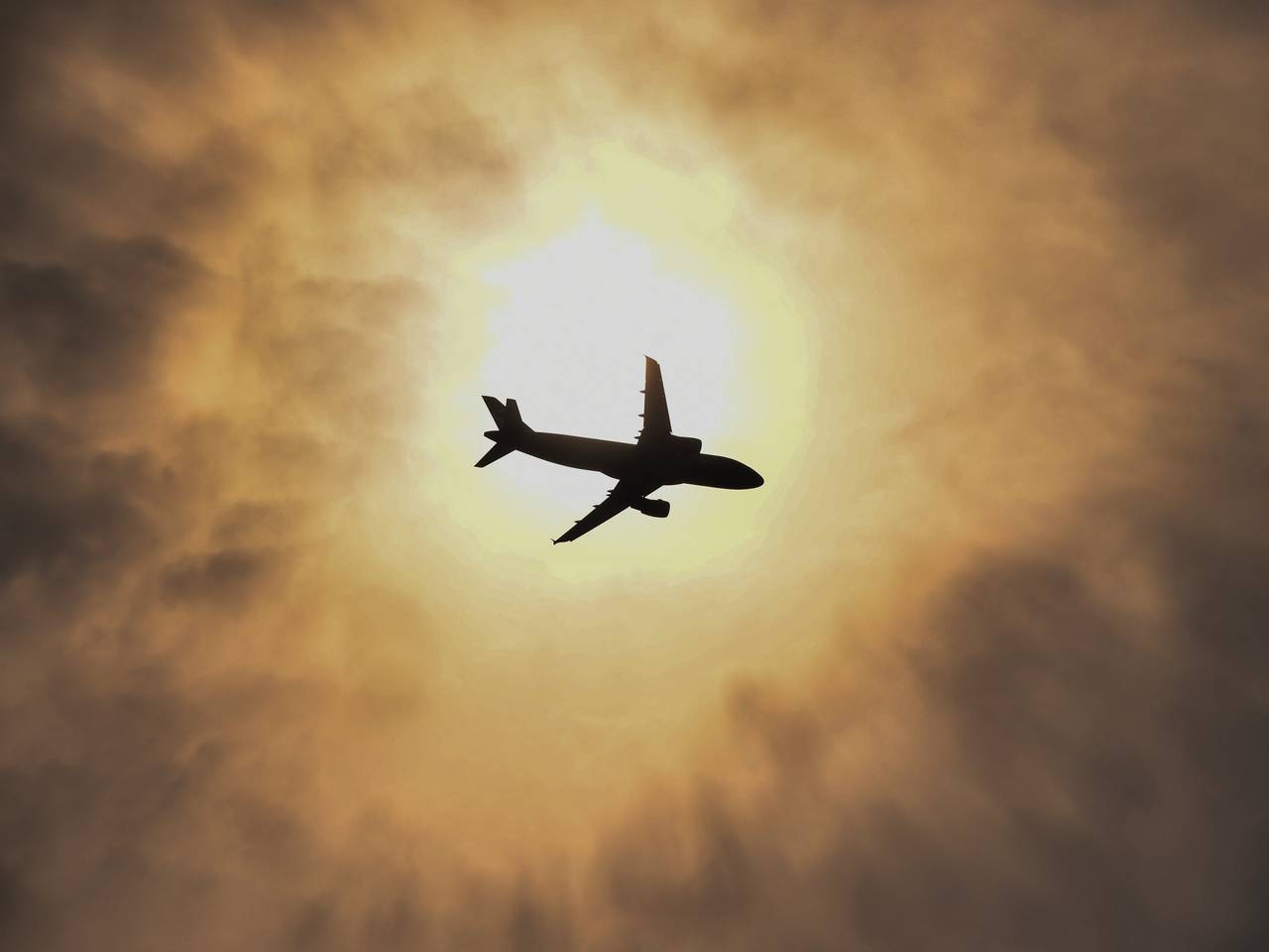 Turkish Airlines отказала россиянке в посадке на рейс в Европу